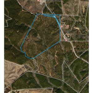 Photo #13 of Tbd Green, Ellerbe, NC 141.0 acres