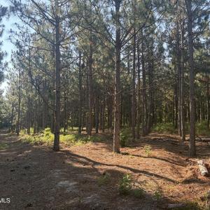 Photo #10 of Tbd Jones Spring Church, Ellerbe, NC 154.4 acres