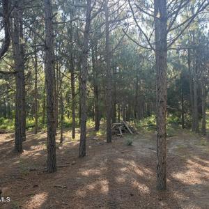Photo #6 of Tbd Jones Spring Church, Ellerbe, NC 154.4 acres