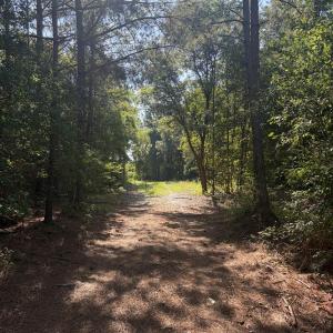Photo #17 of Tbd Jones Spring Church, Ellerbe, NC 154.4 acres