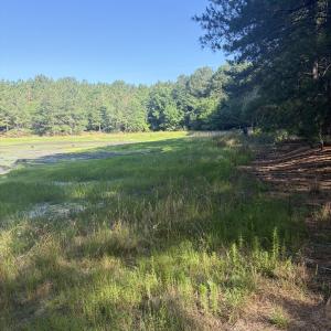 Photo #1 of Tbd Jones Spring Church, Ellerbe, NC 154.4 acres