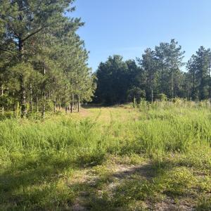 Photo #13 of Tbd Jones Spring Church, Ellerbe, NC 154.4 acres