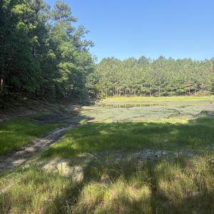 Photo #2 of Tbd Jones Spring Church, Ellerbe, NC 154.4 acres