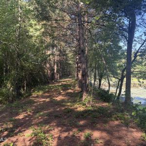 Photo #19 of Tbd Jones Spring Church, Ellerbe, NC 154.4 acres