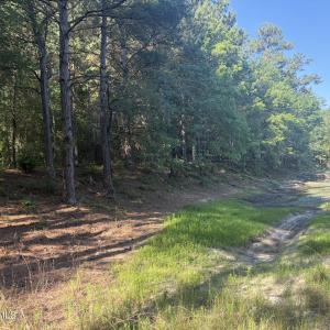Photo #18 of Tbd Jones Spring Church, Ellerbe, NC 154.4 acres