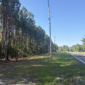 Photo #3 of Tbd Jones Spring Church, Ellerbe, NC 154.4 acres