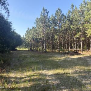Photo #11 of Tbd Jones Spring Church, Ellerbe, NC 154.4 acres