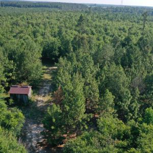 Photo #24 of Tbd Jones Spring Church, Ellerbe, NC 154.4 acres