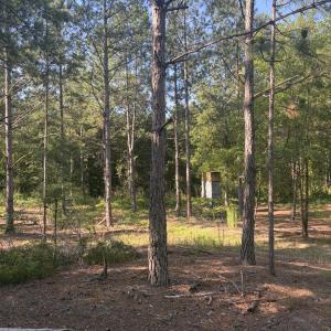 Photo #16 of Tbd Jones Spring Church, Ellerbe, NC 154.4 acres