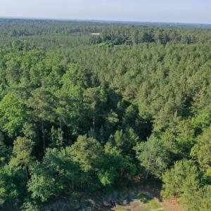 Photo #22 of Tbd Jones Spring Church, Ellerbe, NC 154.4 acres