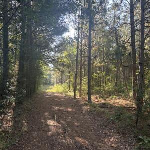 Photo #7 of Tbd Jones Spring Church, Ellerbe, NC 154.4 acres