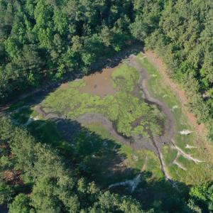 Photo #21 of Tbd Jones Spring Church, Ellerbe, NC 154.4 acres