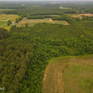 Photo #4 of Rains Crossroads, Princeton, NC 74.0 acres