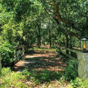 Photo #7 of 7200 Grouper, Wilmington, NC 0.6 acres