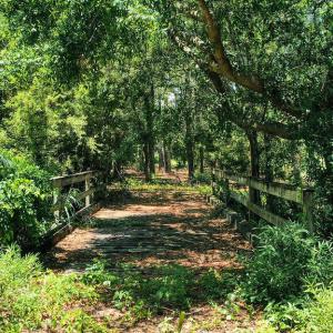 Photo #6 of 7200 Grouper, Wilmington, NC 0.6 acres