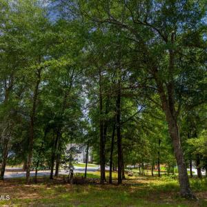 Photo #12 of 3627 White Cliffs, Castle Hayne, NC 0.3 acres