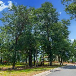 Photo #3 of 3627 White Cliffs, Castle Hayne, NC 0.3 acres