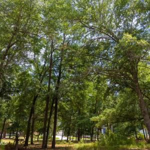 Photo #11 of 3627 White Cliffs, Castle Hayne, NC 0.3 acres