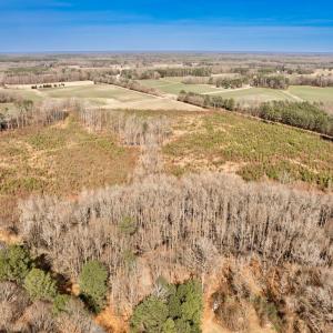 Photo #2 of Ethridge, Whitakers, NC 42.3 acres