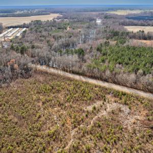 Photo #9 of Ethridge, Whitakers, NC 42.3 acres