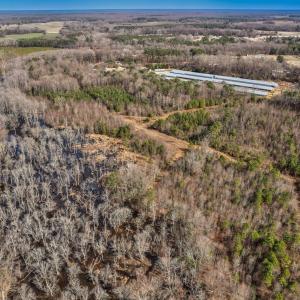 Photo #10 of Ethridge, Whitakers, NC 42.3 acres