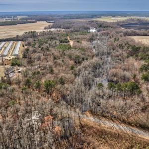Photo #4 of Ethridge, Whitakers, NC 42.3 acres