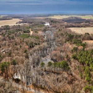 Photo #7 of Ethridge, Whitakers, NC 42.3 acres