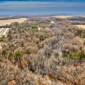 Photo #3 of Ethridge, Whitakers, NC 42.3 acres