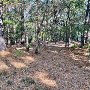 Photo #5 of Hylan, Hamlet, NC 2.0 acres
