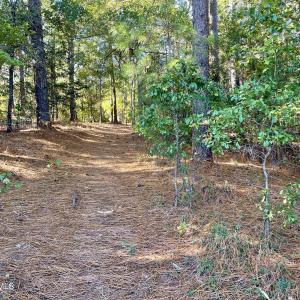 Photo #8 of Hylan, Hamlet, NC 2.0 acres