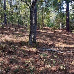 Photo #4 of Hylan, Hamlet, NC 2.0 acres