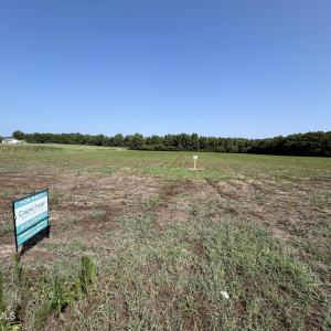 Photo #5 of Lot 7 Point Caswell Road, Willard, NC 11.0 acres