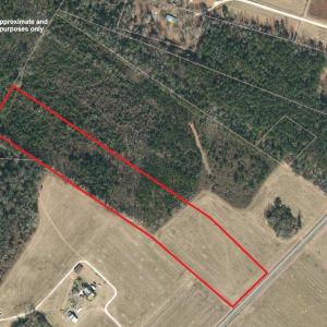 Photo #6 of Lot 7 Point Caswell Road, Willard, NC 11.0 acres