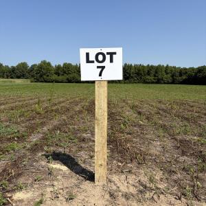 Photo #4 of Lot 7 Point Caswell Road, Willard, NC 11.0 acres