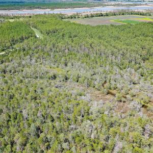 Photo #8 of 4.57 Acres Meekins, Bayboro, NC 4.6 acres