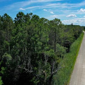 Photo #2 of 4.57 Acres Meekins, Bayboro, NC 4.6 acres