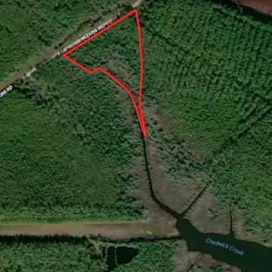 Photo #18 of 4.57 Acres Meekins, Bayboro, NC 4.6 acres