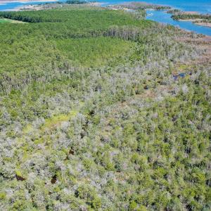 Photo #9 of 4.57 Acres Meekins, Bayboro, NC 4.6 acres