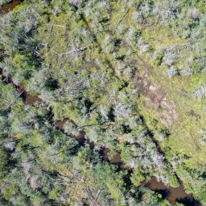 Photo #12 of 4.57 Acres Meekins, Bayboro, NC 4.6 acres