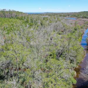 Photo #11 of 4.57 Acres Meekins, Bayboro, NC 4.6 acres