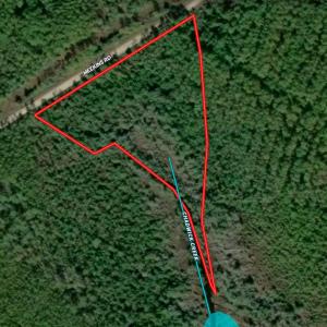 Photo #17 of 4.57 Acres Meekins, Bayboro, NC 4.6 acres