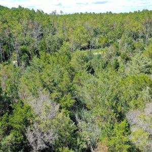 Photo #10 of 4.57 Acres Meekins, Bayboro, NC 4.6 acres
