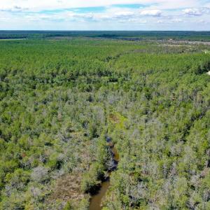 Photo #7 of 4.57 Acres Meekins, Bayboro, NC 4.6 acres