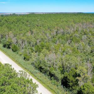 Photo #14 of 4.57 Acres Meekins, Bayboro, NC 4.6 acres