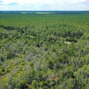 Photo #6 of 4.57 Acres Meekins, Bayboro, NC 4.6 acres