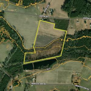 Photo #1 of 651 Griffin, Chadbourn, NC 31.7 acres