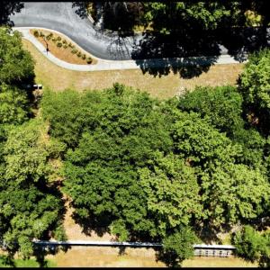 Photo #3 of 9162 Bramshill, Calabash, NC 0.2 acres