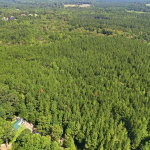 Photo #3 of Off Pats Road, Vass, NC 34.3 acres