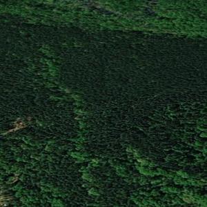 Photo #11 of Off Pats Road, Vass, NC 34.3 acres