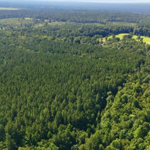 Photo #24 of Off Pats Road, Vass, NC 34.3 acres